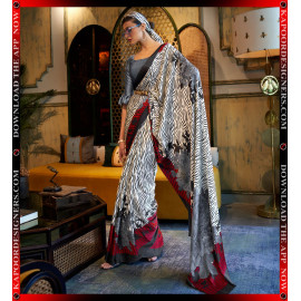 10010-KALIZEY GREY ( SAREE )